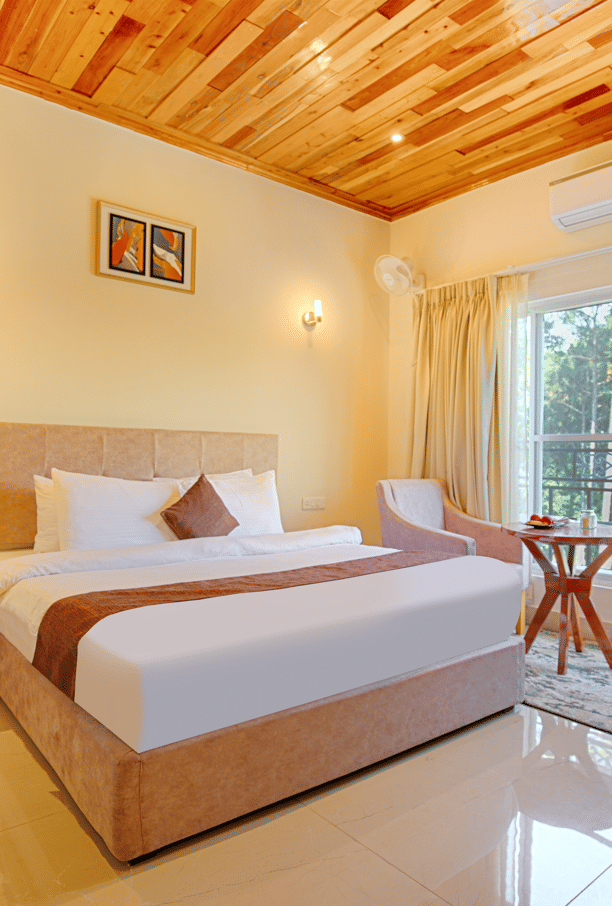 deluxe room with lake view and bathtub